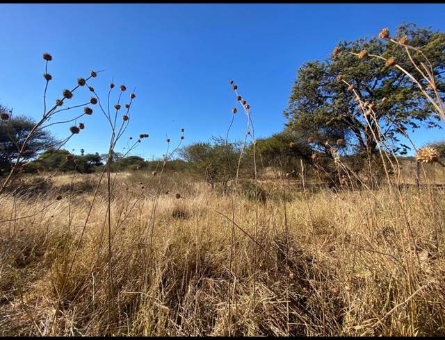 FARM FOR SALE IN IVYDALE A H